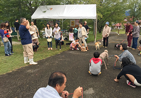 動物愛護推進運動
