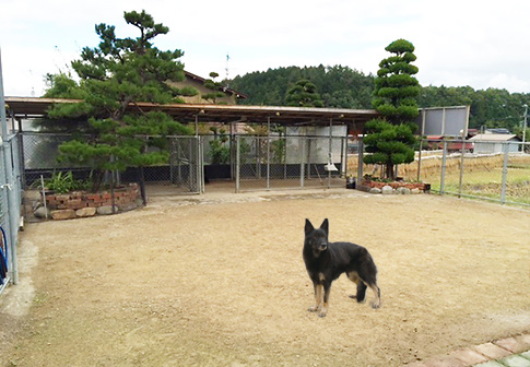 屋根付きドッグラン