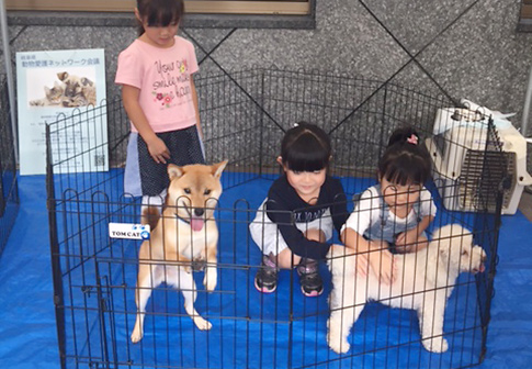 犬とのふれあい